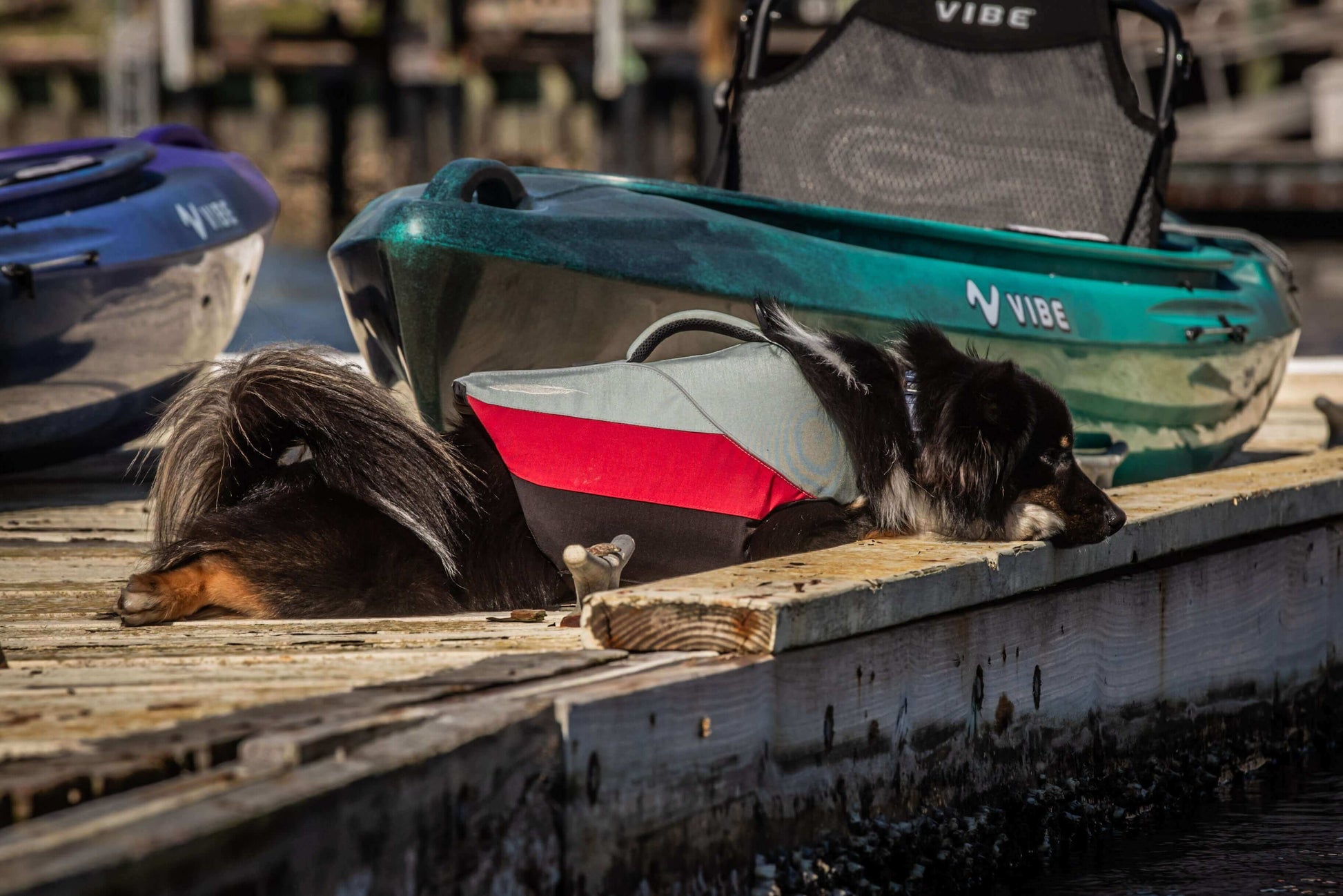 Shaka 100 — Kayaks